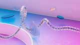 Transparent Spiral Cable