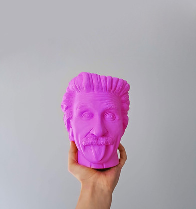 einstein rosa