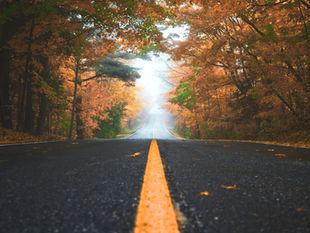 Fall Officially Hits Different: Foliage, Fall Break, and Why This Is THE Month to Plan a Trip