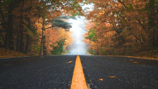 Autumn Accidents: Legal Steps to Take After a Crash