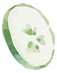 Cucumber Slice Illustration