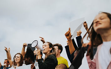 Demonstrators