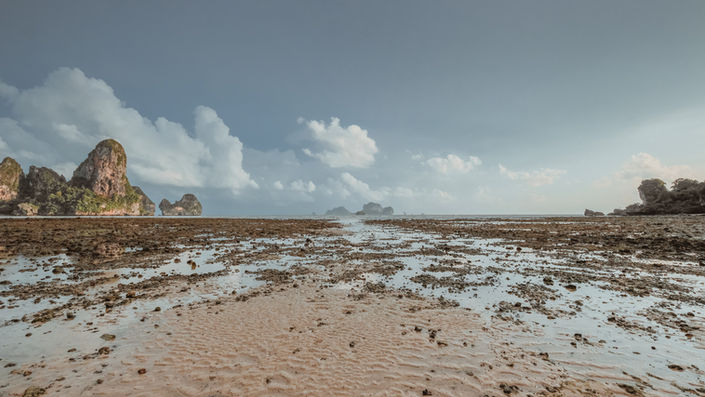 Muddy Beach