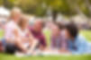Family Picnic