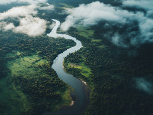 Wealth as a Catalyst for Global Change: Embracing Responsibility and Wisdom