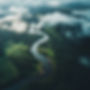 Landscape Winner