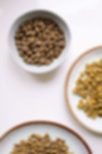 Bowls of cat food kibble.