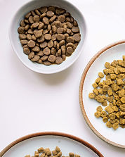 Bring your own food for your dog or cat