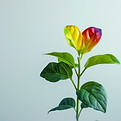 Gradient Leaves