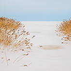 Desert and Common Reeds