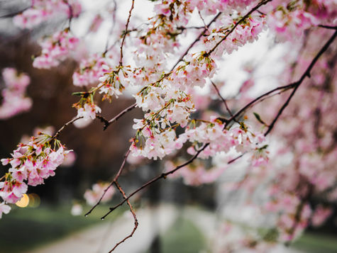 3月