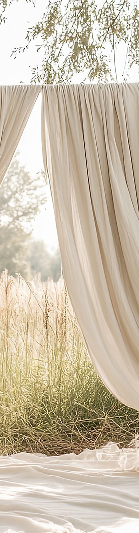 Outdoor Wedding Arch