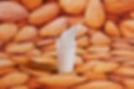 Almond Milk