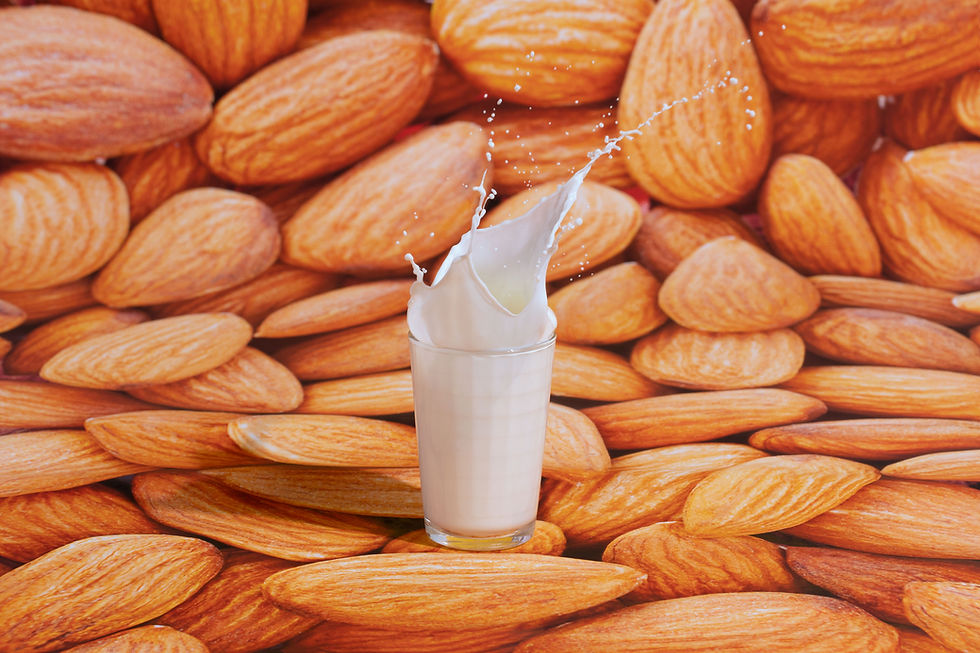Nut Milk