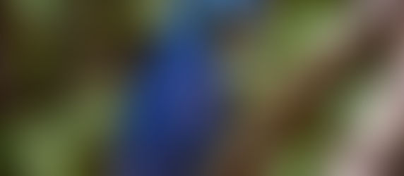 Twitterくん……お前……