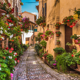 Petite rue fleurie 