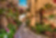 Garden Path