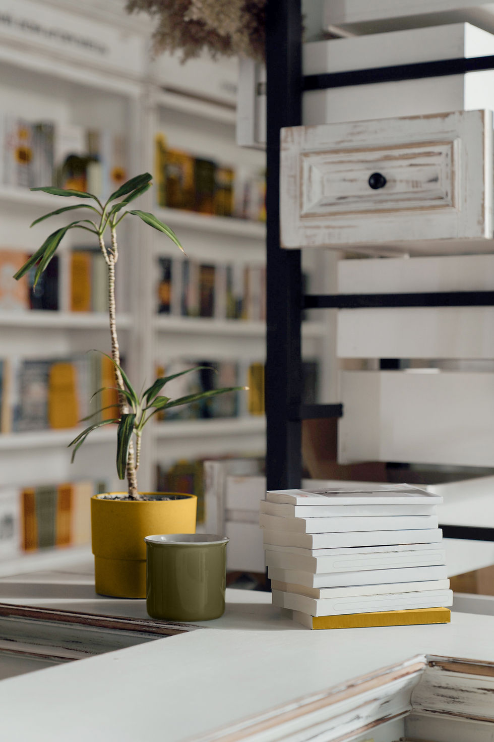 Books on a Counter