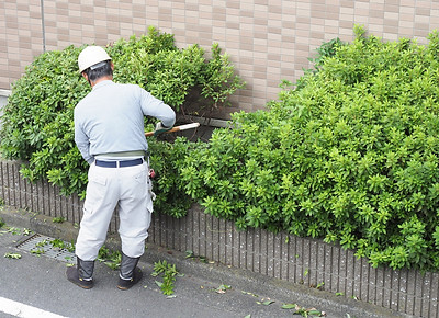 植栽の手入れをする職人の後姿