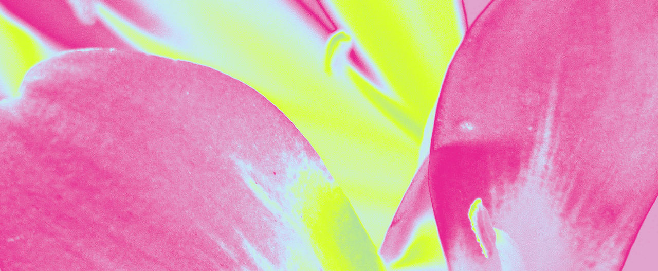 Thermal Lillies