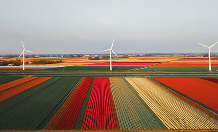 Farm Fields