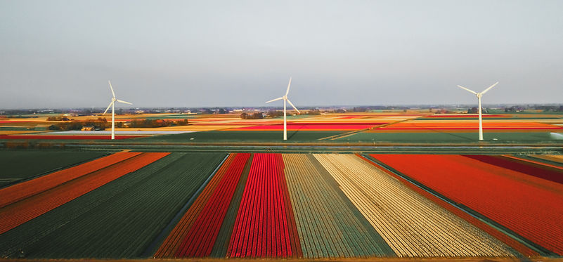 Farm Fields