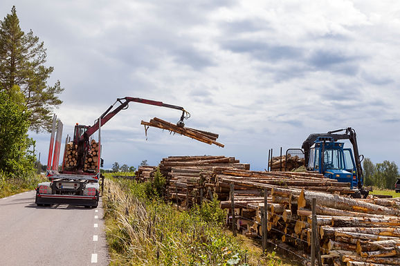 Loading Logs