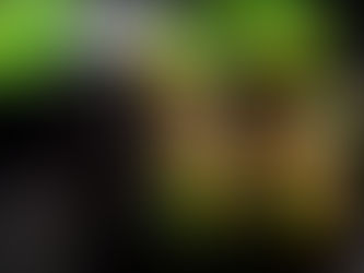 8 Makanan yang Meningkatkan Produktivitas