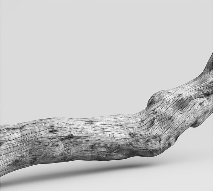 Textured Wooden Branch