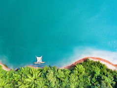 Blue Action Fund: a lifeline for the ocean