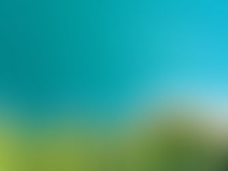 Blue Action Fund: a lifeline for the ocean