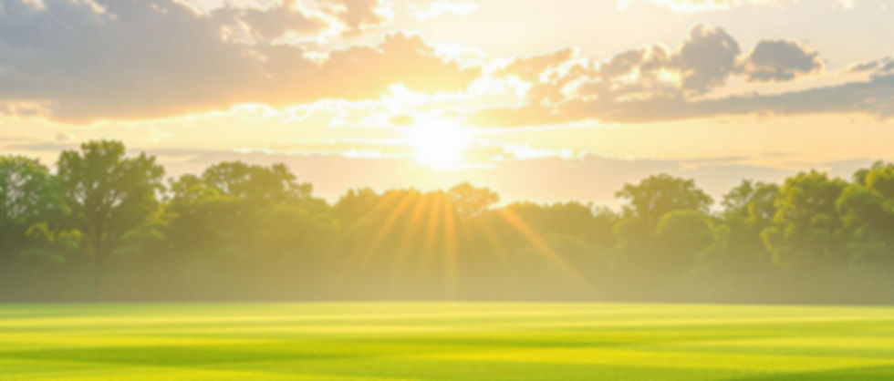 Soccer Field at Sunset