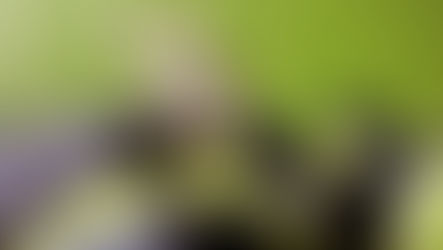 3 Steps to managing your insecurity. 