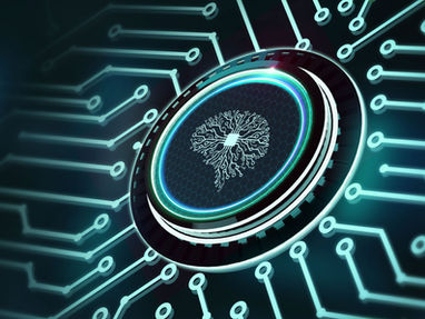 Boltayeva Zinora Mirdjonovna