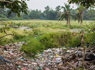 Garbage in Nature