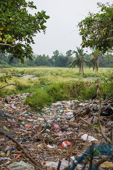Garbage in Nature