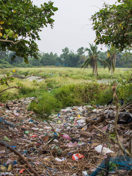 La distinzione tra il delitto di omessa bonifica e la contravvenzione di inottemperanza all’ordinanza di rimozione dei rifiuti nella recente giurisprudenza della Corte di Cassazione