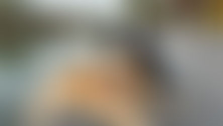 2026年1月はペットフードロスを「約72トン」削減しました！