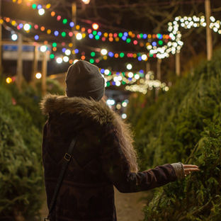 Navigating Grief During the Holiday Season
