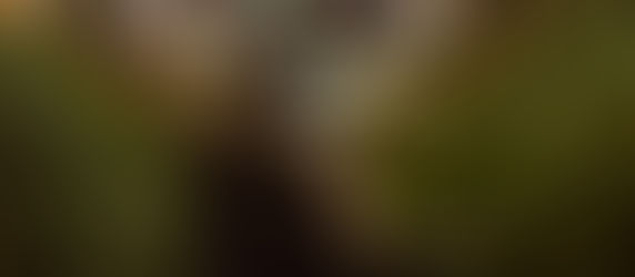 WINTER DECOR CLASSICS