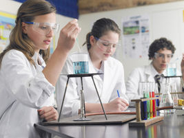 Teacher of Science and Humanities (mostly Geography) 