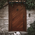Rustic Door Scene