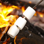 Marshmallows over Campfire
