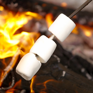 Marshmallows over Campfire