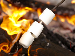 Tall Oaks Campground: Buffalo, Indiana