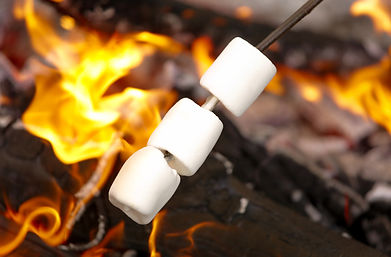 Roasting marshmallows by the fire at Northern Michigan vacation rental