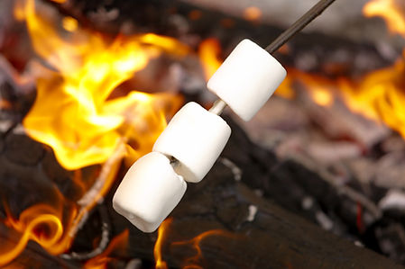 Marshmallows over Campfire