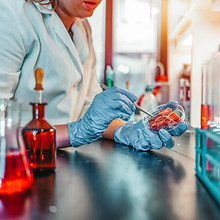 Viande cultivée en laboratoire