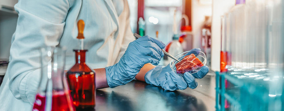 Lab Grown Meat