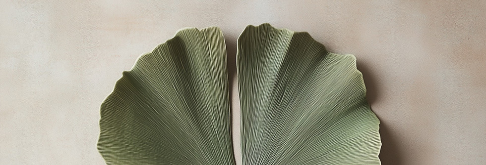 Ginkgo leaf detail
